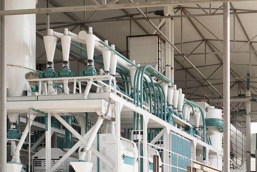 河南中瑞糧油機(jī)械 面粉加工工藝流程、設(shè)備制造與光伏設(shè)備銷(xiāo)售業(yè)務(wù)概覽